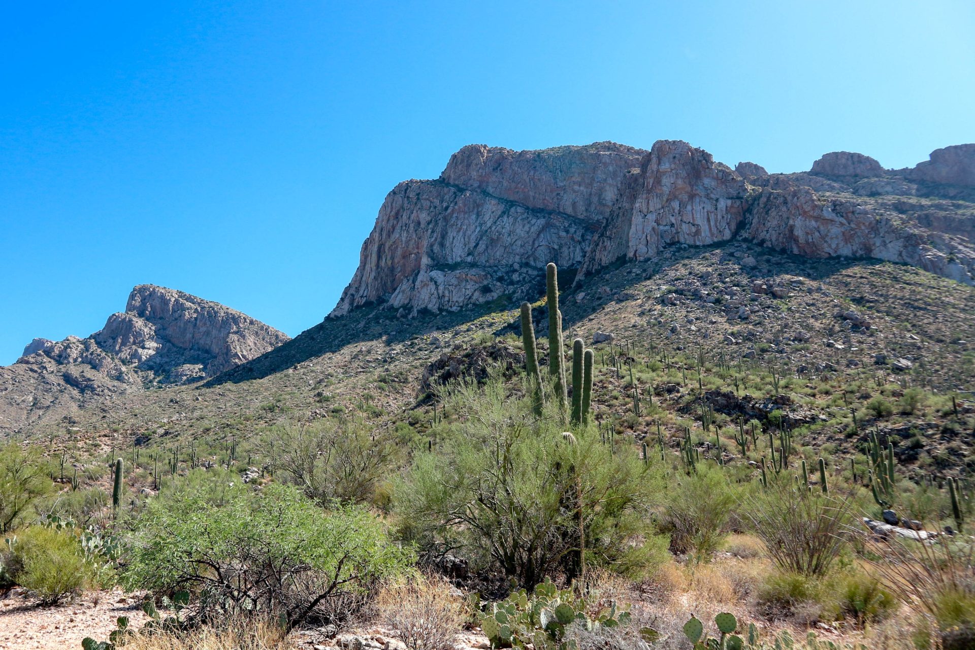 Oro Valley Az County